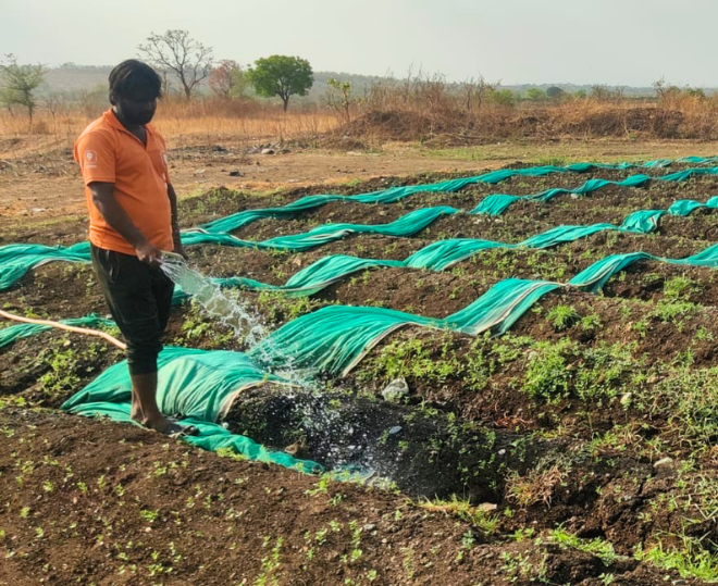 Watering Beds